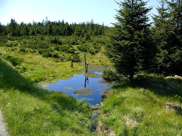 JIZERSKÉ HORY - HEJNICE,SMRK,SMĚDAVA